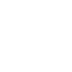 Vendificial AI